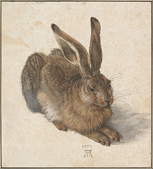 Albrecht_Dürer_-young_Hare_1502