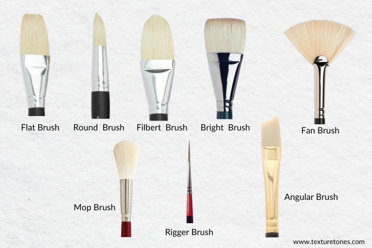 Different types of brush